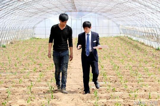 金融贷款助力精准扶贫为贫困户创业造血-今