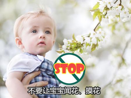 春季带宝宝赏花注意什么