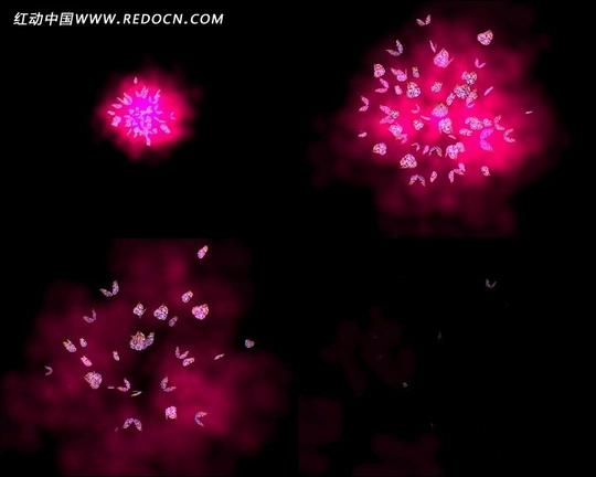 烟花爆开蝴蝶唯美动态视频素材