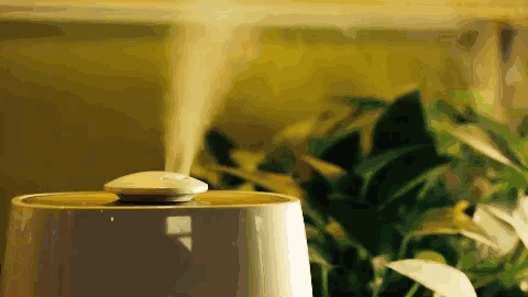 加湿器是怎么导致肺炎的