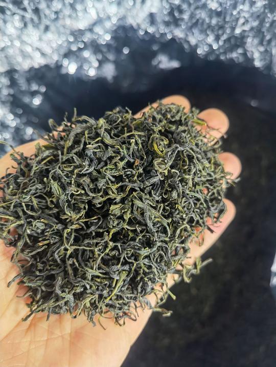 厂家直销崂山绿茶2021新春茶叶炒青豆香散装高山东青岛特产日照足