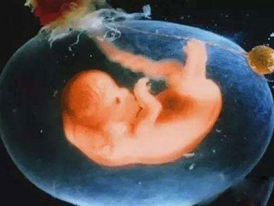 胎儿最喜欢听的声音