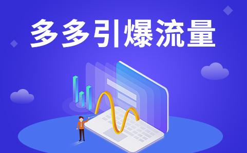 拼多多类目排名怎么能上去-第1张-多多参谋