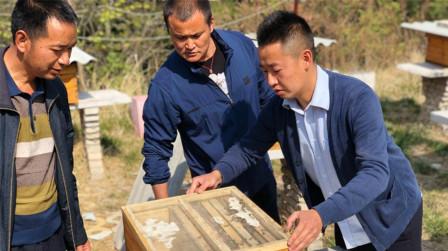不久后，农村创业3个新商机，未来几年会越来越吃香!