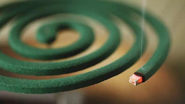 孕妇为什么更容易招蚊子