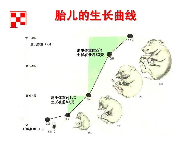 3个月宝宝生长发育指标
