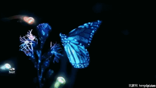 蝴蝶鲜花3d酷炫gif动态图片