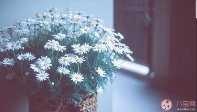 2020年文案怎么发