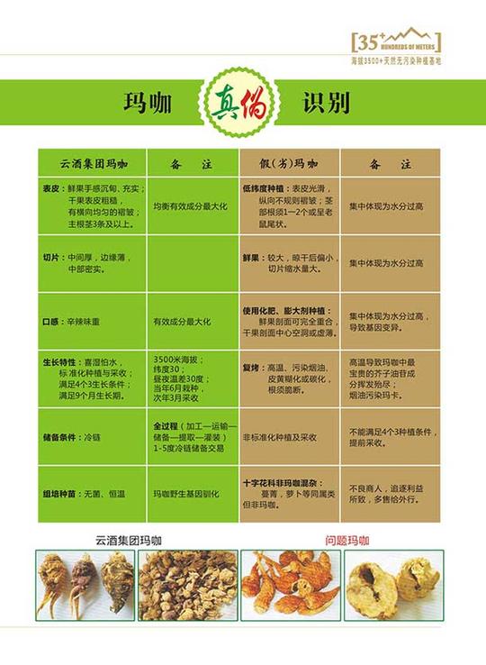 丽江玛咖酒创业招商加盟