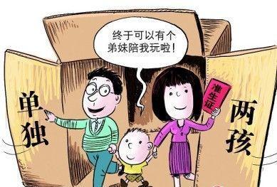 益阳市单独二胎最新政策