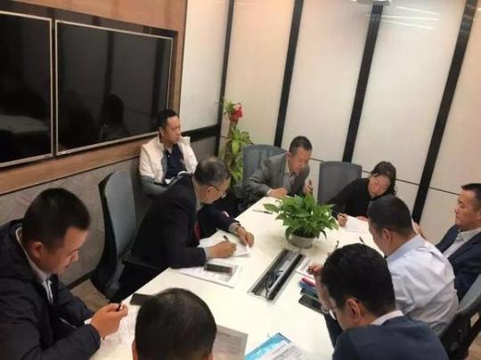 项目概述,市场前景,发展策略,运营策略,融资与财务,关键风险问题,创新