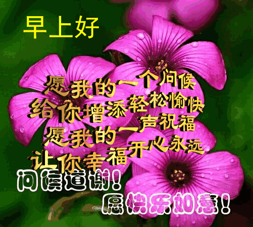 关于十二月你好的句子