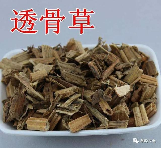 透骨草的功效与作用,光明菜学名?