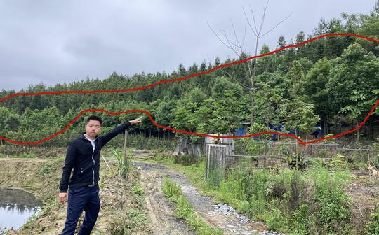农村偏门暴利种植行业，投资1万元获利100万，看看种植的是什么