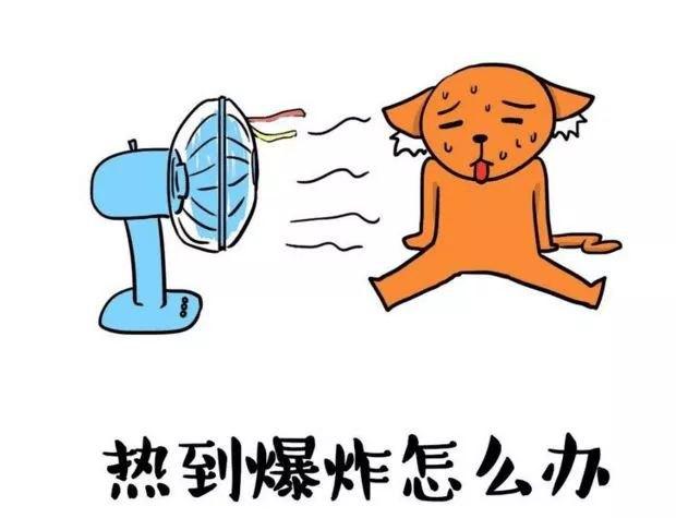 天气好了的心情说说