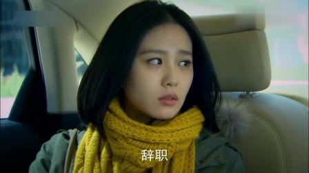 灯光前,人相依,问心事,事却了