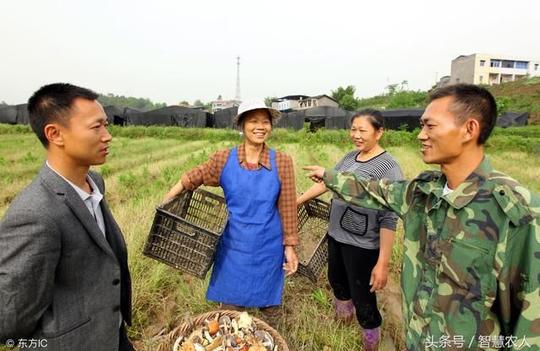 未来十年,农村这4个职业谁做谁赚钱,看完想回农村创业