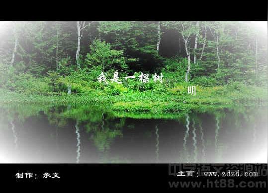 《我骄傲,我是一棵树》flash视频素材