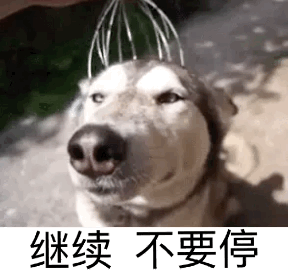 叫啊继续叫表情包