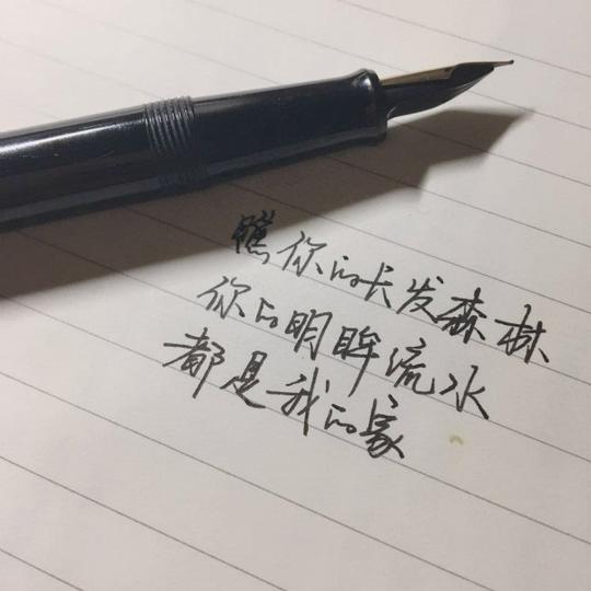 小众钢笔测评:百元档最好用的妖艳尖儿货!