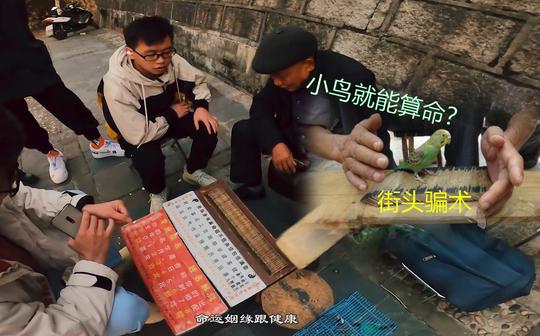 路边小鸟叼签算命翻车，偷拍被算命老头子发现，扬言要把我设备丢河里?