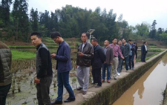 回农村创业搞养殖，是不是个坑?过来人:只要不跟风就不是坑!