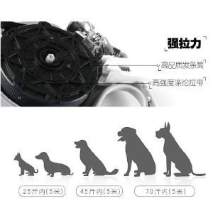 防情侣牵引绳狗绳基式小狗长遛狗斗法幼丢猫走犬绳儿童背带款柯