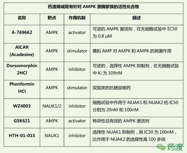 阿尔茨海默症的治疗和预防