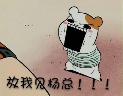 有没有这种表情无字素材,顺便问一句这个老鼠叫什么名字?