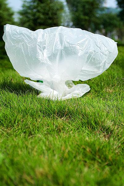 草地上的塑胶袋_图片大全—全景创意图库（quanjing.com）中国领先的正版图片视频素材网站