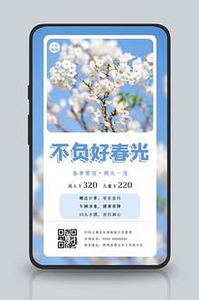 春游踏青赏花蓝色浪漫小清新手机海报