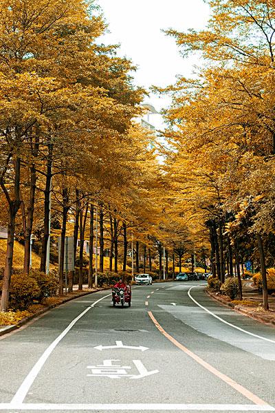 深秋的公路_图片大全—全景创意图库（quanjing.com）中国领先的正版图片视频素材网站