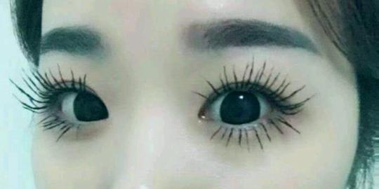 滴滴猫睫毛膏怎么代理?多少钱?赚钱吗?