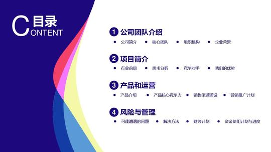 创业商业计划书公司融资团队介绍业务推广项目管理风险管理静态ppt