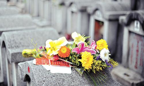 清明祭奠_春天的追忆配音解说词文案