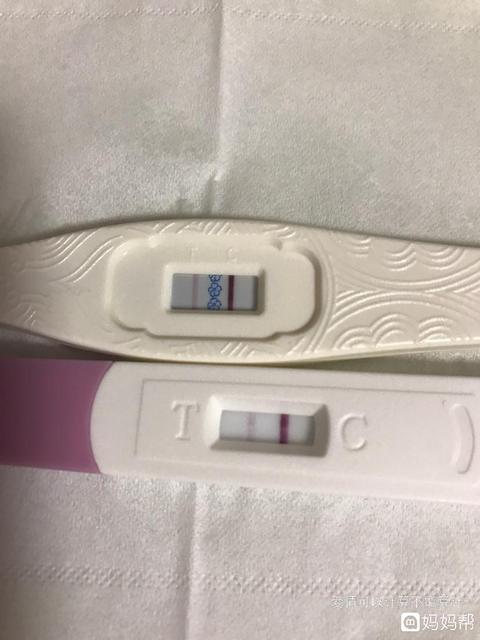 正常排卵怀不上是什么原因
