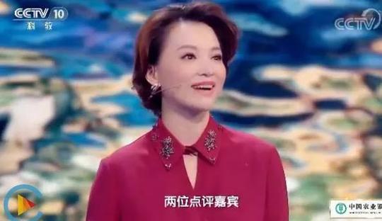 董卿在《中国诗词大会》的开场白完整版,教科书般的作文素材!