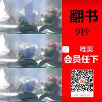 高清实拍唯美阳光下翻阅书籍翻书视频素材书页翻过风吹过书页画面