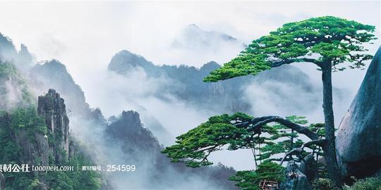 黄山迎客松图片-素材公社tooopen.com