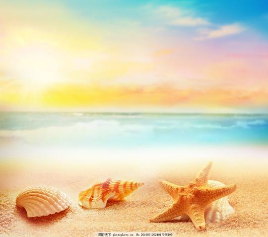 唯美沙滩景色夏日沙滩海滩景色唯美海滩景色夏日海滩贝壳