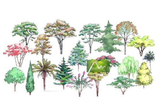 手绘园林植物人物立面效果图psd分层素材