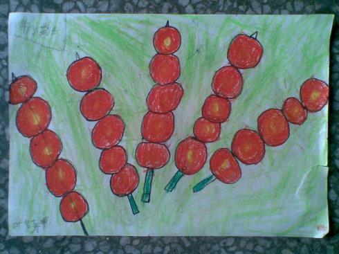 蚂蚁森林冰糖葫芦最开始是一种