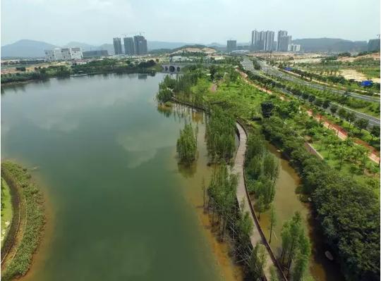 创业导报:知识城凤凰湖今年建成湿地公园