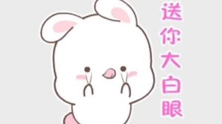 小了白了兔抖音歌曲完整版