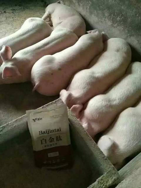 宝宝腹泻医生让断奶怎么办