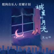 城里的月光(王梓琪)