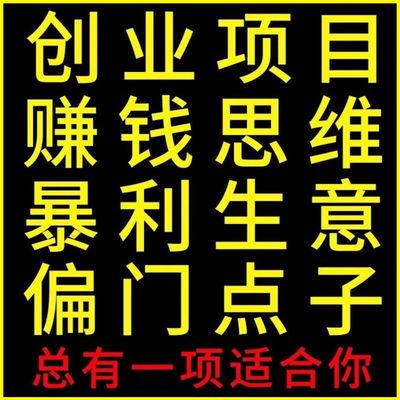 300个金点子项目副业小本生意创业蓝海副业教程偏门思路方法