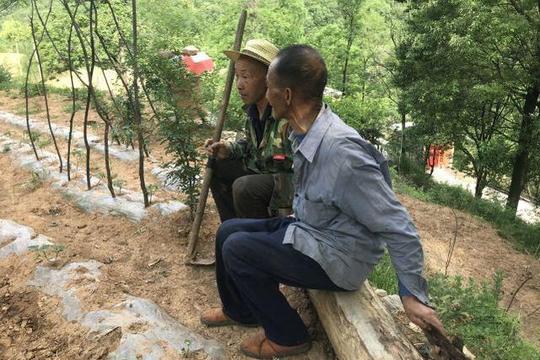 农村72岁老人，不愿儿子做上门女婿却弄巧成拙，如今后悔也没用