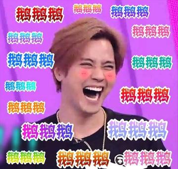 罗志祥鹅笑表情包