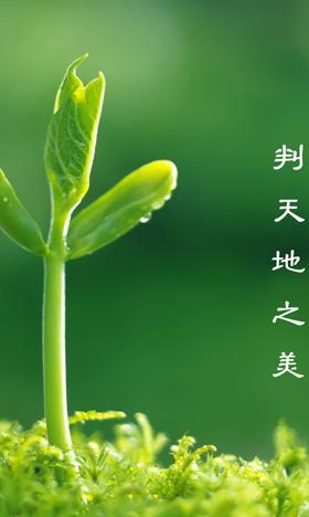 关于植树节的古诗